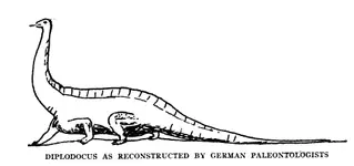 german diplodocus.webp