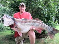 myerson-81-lb-striped-bass.jpg