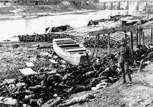 Nanking_bodies_1937.webp