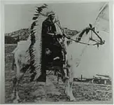 Quanah Parker.webp