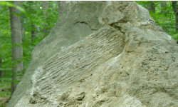 small rock pic 3.gif