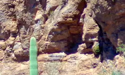 carving on rock next to cave with adobe & gold.webp