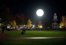 Moon Balloon.webp