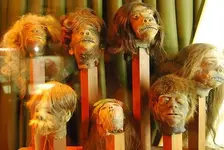 Shrunken heads Woolaroc.webp