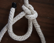 Bowline.gif