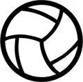 VOLLEYBALL @.webp