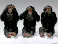 Wise monkeys.webp