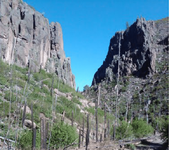 Guaje Canyon NM.png