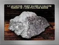 1.7 LB NATIVE RUBY SILVER SF15.webp