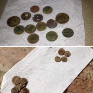 Coin spill found in back yard 6/25