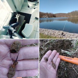 2018 - Metal Detecting Images