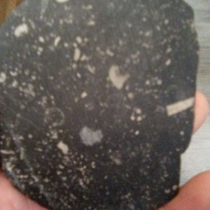 Meteorite slice or ?