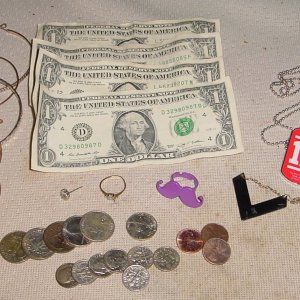 JULY FRESH WATER HUNT - PLACE HAD BEEN HIT BY OTHERS BUT FOUND A SMALL GOLD RING - SAW A $1 FLOATING ON BOTTOM - LOOKED AROUND AND SAW 3 MORE - ANOTHE