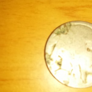 front of buffilo nickle