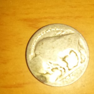 buffilo nickle front