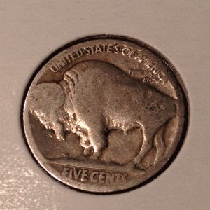 Unknown Date Buffalo 2 - Back