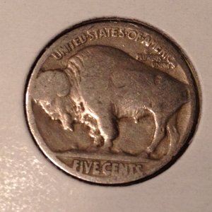 Unknown Date Buffalo 1 - Back