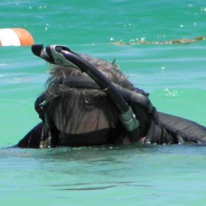 HARD AT WORK IN JAMAICAN WATERS