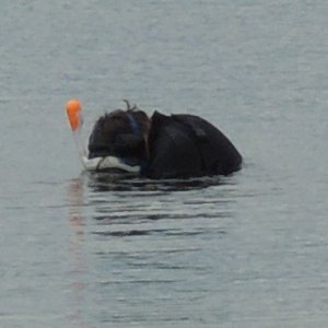 APR 27TH - HUNTING ON CAPE COD