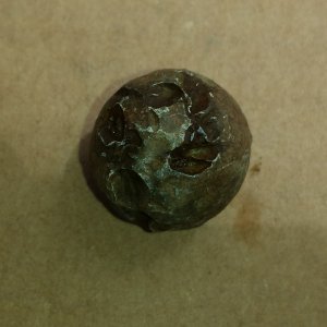 20150822 Chewed round ball found where a Civil War Confederate hospital used to be with the F75.