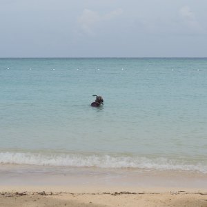 IN JAMAICAN WATERS