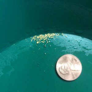 Gold found on Arapaho Bar