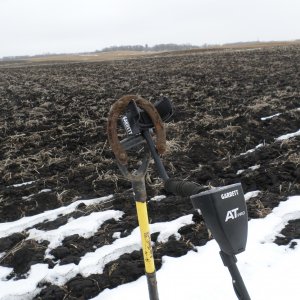 Studded Horse Shoe used on ice and in heavy snow