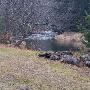 Cross Fork Creek in front of my cabin...wild trout