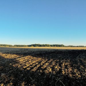 WP 20180923 07 47 32 Panorama (1)