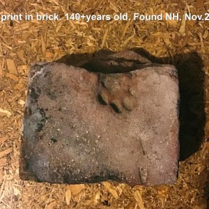 Brick with cat print 2019