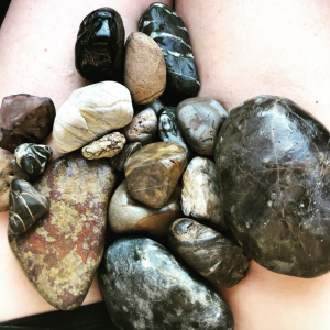 Jasper and other rocks found in the Coromandel