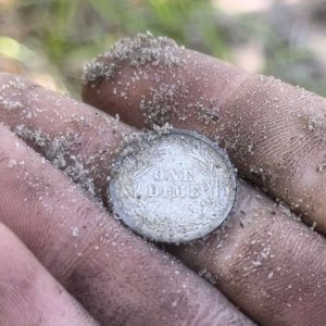 1909 New Orleans barber dime found in central Florida.
