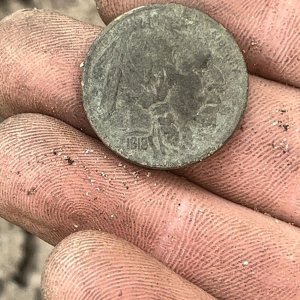 1918 Buffalo Nickel found in north Florida