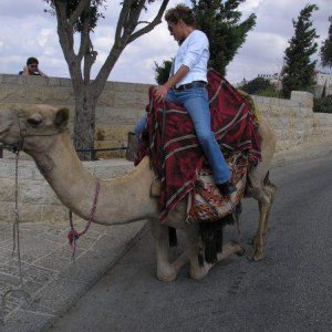 Camel walk - Doin the camel walk in Jerusalem