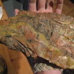 Petrified Wood