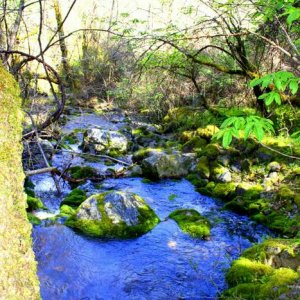 Gold Claim - Our gold claim in beautiful gold country - spring (before it gets dried and nasty)