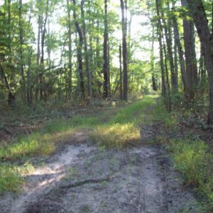 Stage coach road  - South Jersey has plenty of old wagon trails to search
