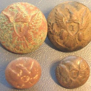 Eagle I Buttons - I dug these at different Civil War sites.