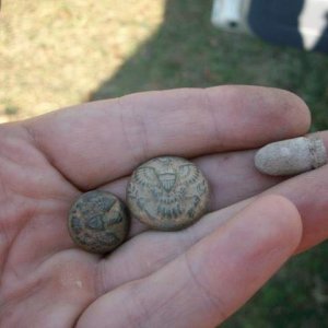 1870s-90s buttons