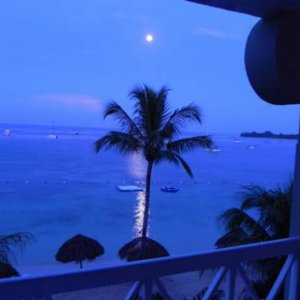 Setting Moon in Jamacia