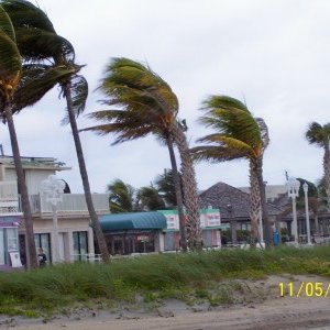 hollywood bch