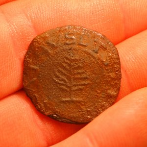 1652 Mass Silver
Pine Tree Shilling
Large Planchet Noe-1