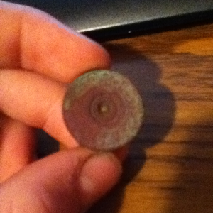 A Winchester Repeater 12 gauge shotgun bullet