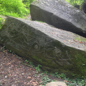 Salt rock petroglyphs