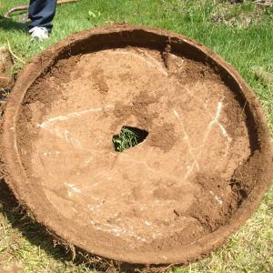 We think it's an old concrete bird bath with rebar.