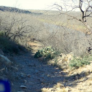 Mountain trail