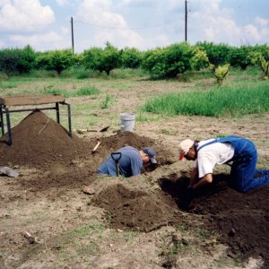 Peach orchard artifact dig