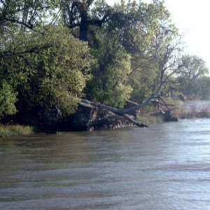 Old bridge crossing