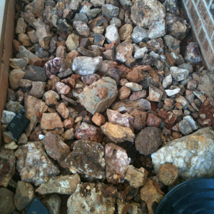 My rock collection.