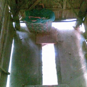 A toilet in the mekong delta. built over the water.